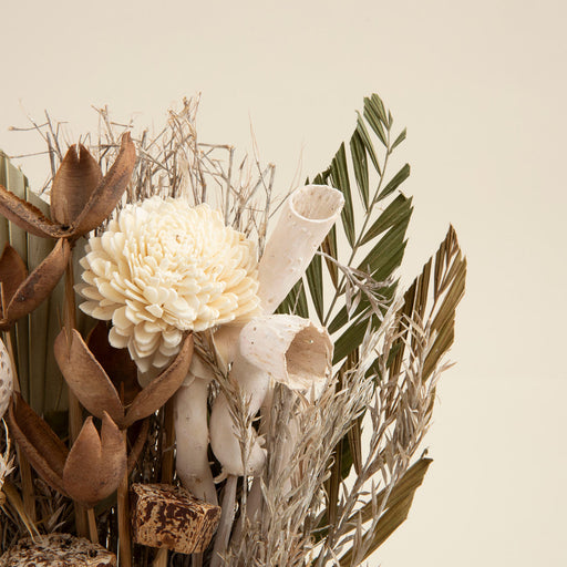 Janu Dried Flower in Pot Natural