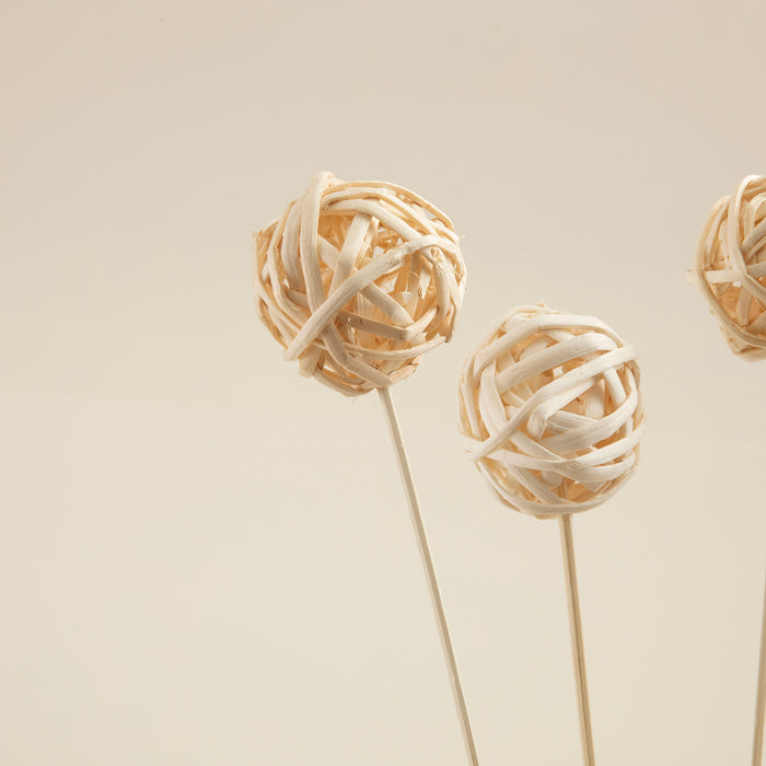 Terra Bunch Dried Flower Natural