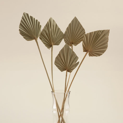 Ella Bunch Dried Flower Natural