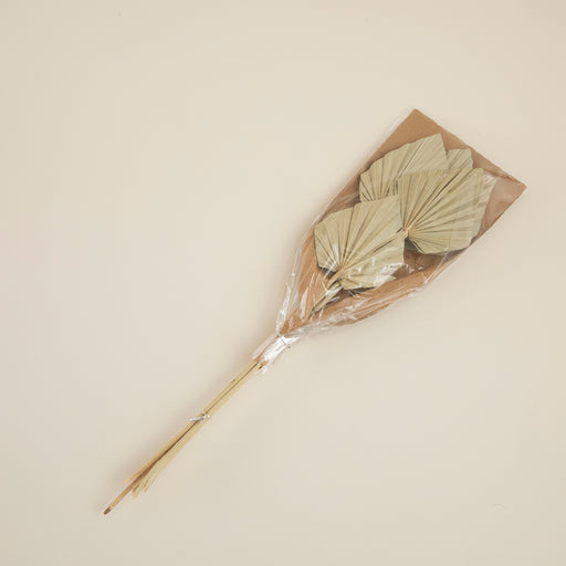 Ella Bunch Dried Flower Natural