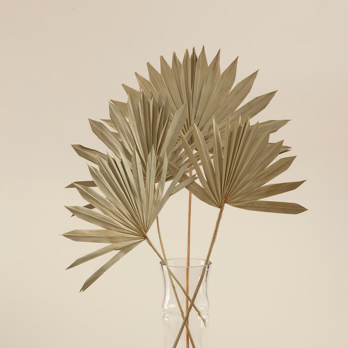 Felicity Bunch Dried Flower Natural