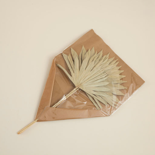 Felicity Bunch Dried Flower Natural
