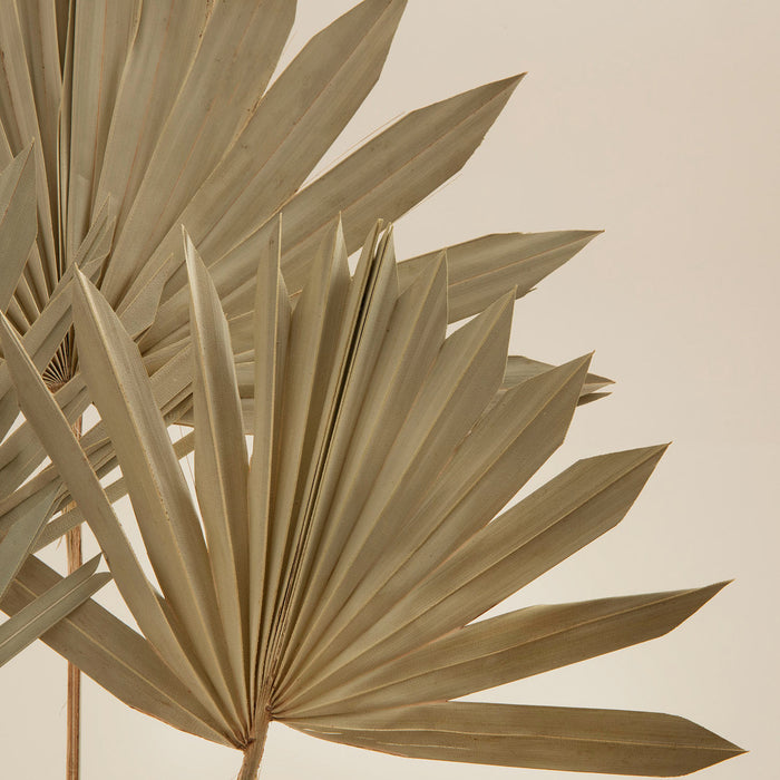 Felicity Bunch Dried Flower Natural