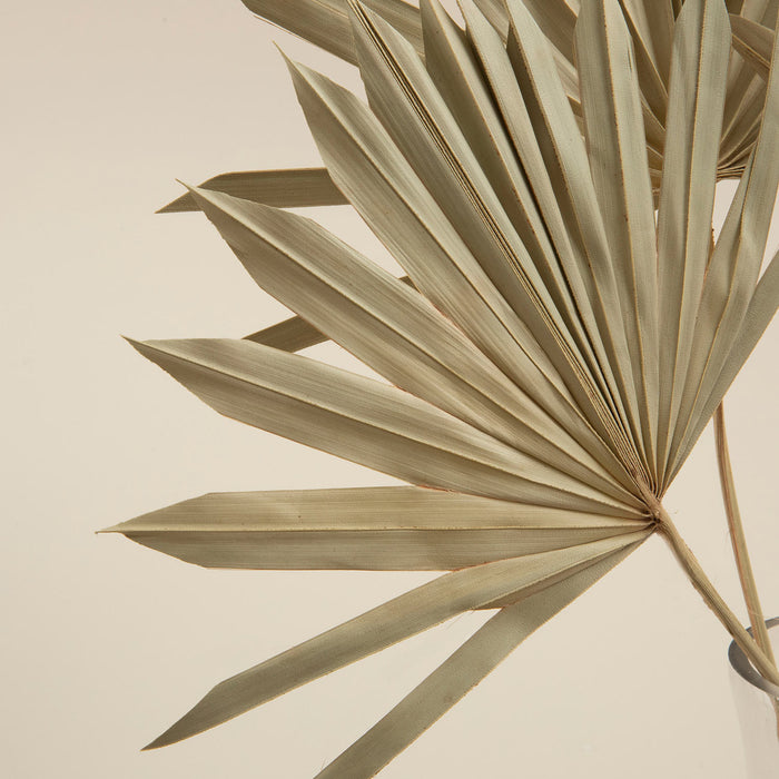 Felicity Bunch Dried Flower Natural