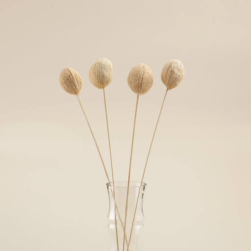 Lulu Bunch Dried Flower Natural