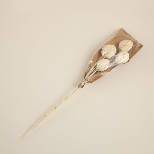 Lulu Bunch Dried Flower Natural