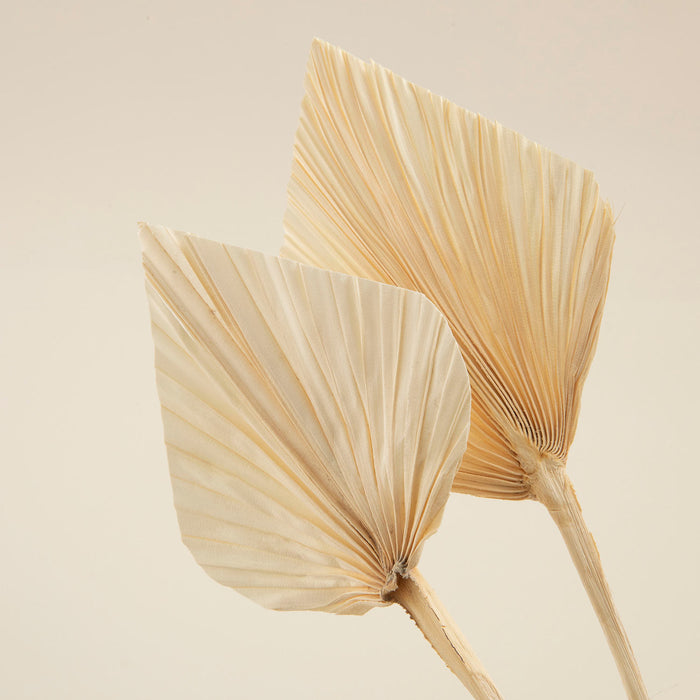 Mayana Bunch Dried Flower Natural