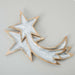 Shooting Star Serving Plate 55x26 Cm Silver