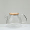 Kenyon Glass Tea Pot Transparent