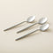 Elina 6 Pieces Tea Spoon Set Semi Matt Silver