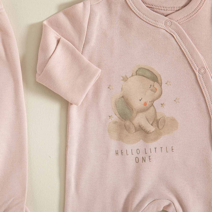 Elephant Newborn Gift Set (50 CM) Powder