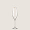 Chamonix Champagne Glass Gold STANDART