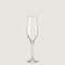 Chamonix Champagne Glass Silver STANDART