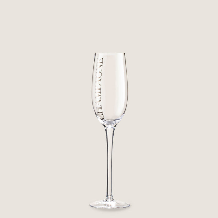 Festi Champagne Glass TRANSPARENT/SILVER