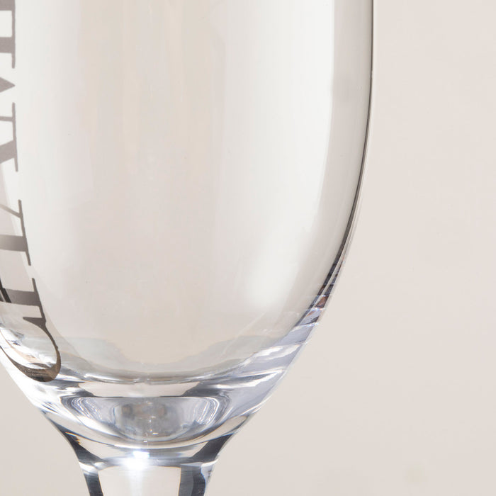 Festi Champagne Glass TRANSPARENT/SILVER