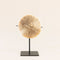 Coral Round Deco Natural