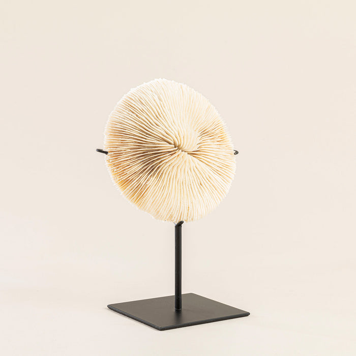 Coral Round Deco Natural