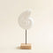 Bangka Shell Decorative Object On Stand White