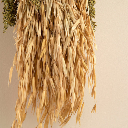 Dharma Hanging Flower in Pot Natural