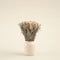 Edna Dried Flower in Pot Natural