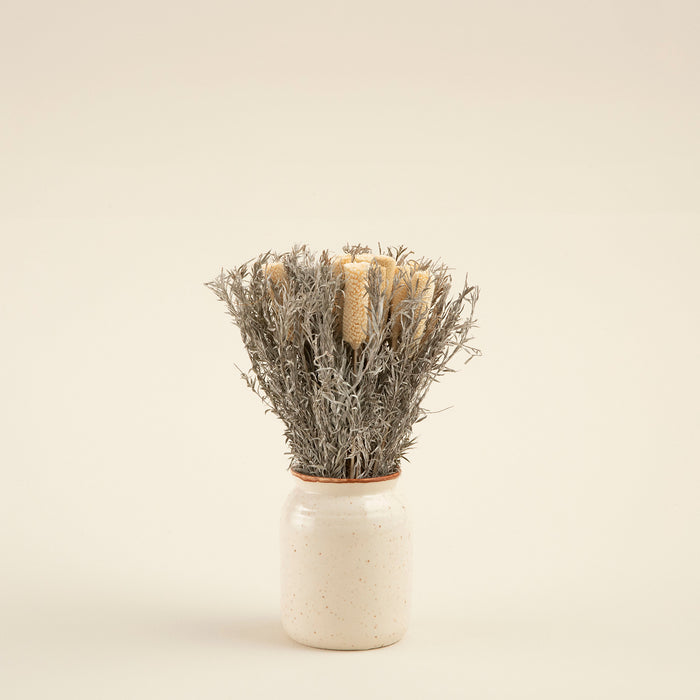 Edna Dried Flower in Pot Natural