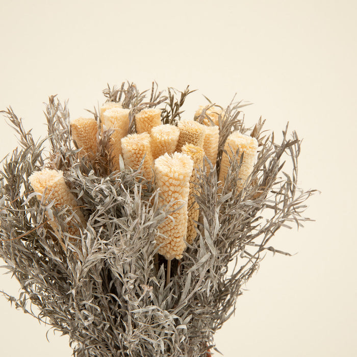 Edna Dried Flower in Pot Natural