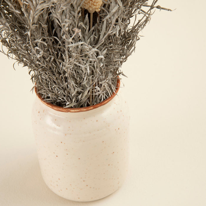 Edna Dried Flower in Pot Natural