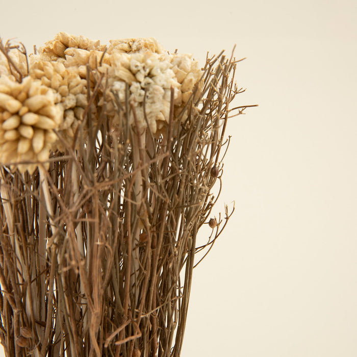 Faith Dried Flower in Pot Natural