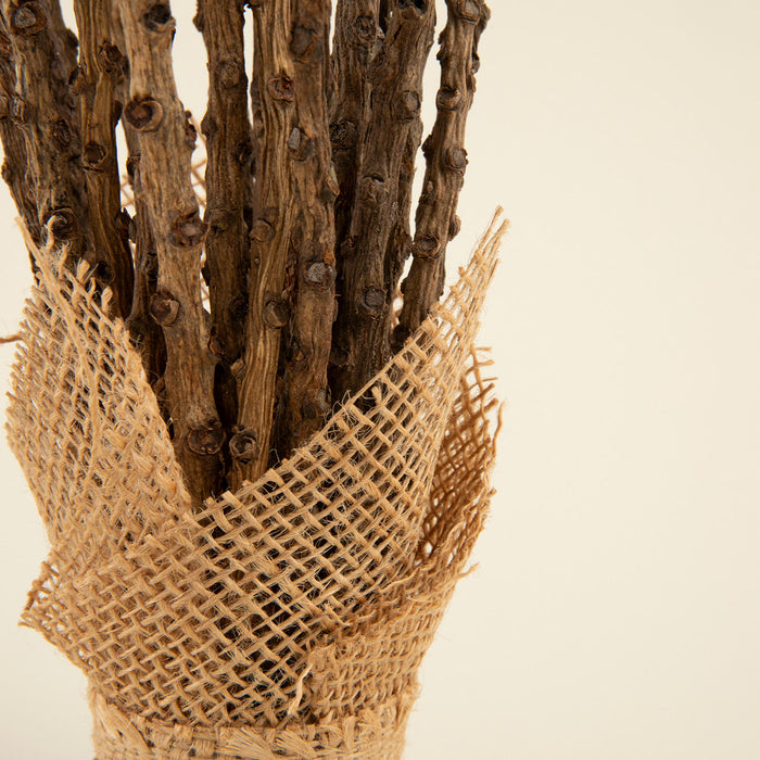 Afra  Dried Flower in Jute Natural