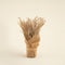 Astrid  Dried Flower in Jute Natural