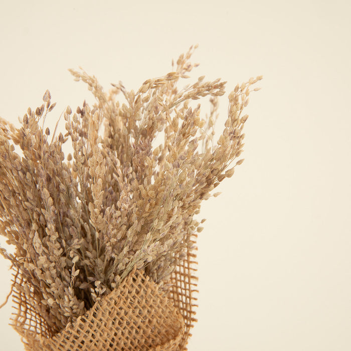 Astrid  Dried Flower in Jute Natural