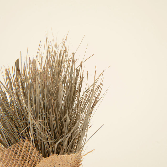 Alexa Dried Flower in Jute Natural