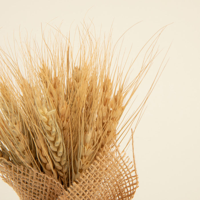 Biana Dried Flower in Jute Natural