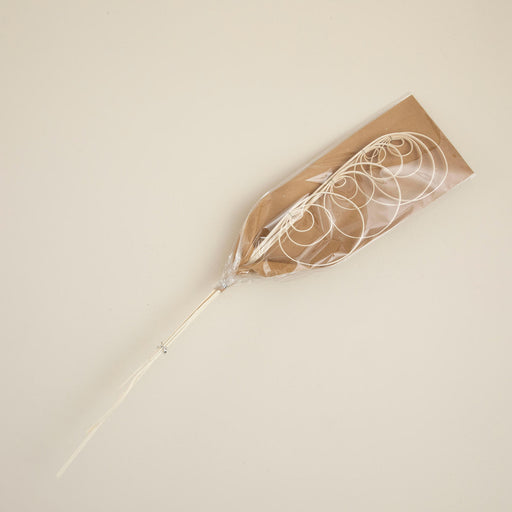 Angie Bunch Dried Flower Natural