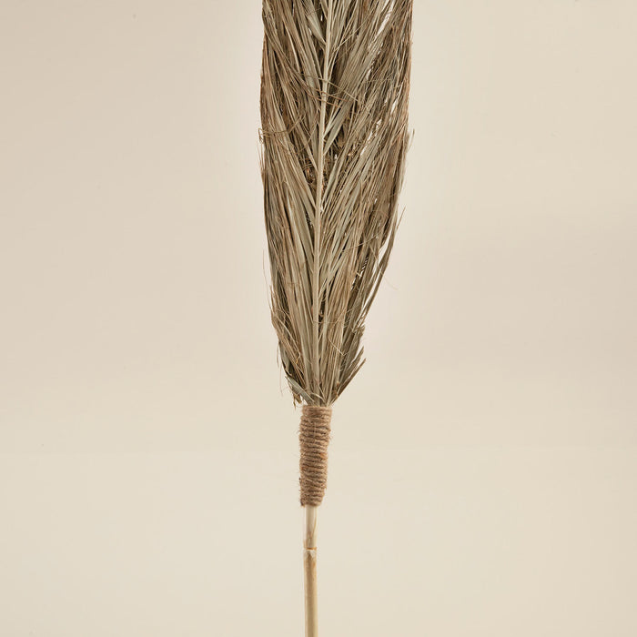 Dakota Branch Dried Flower Natural