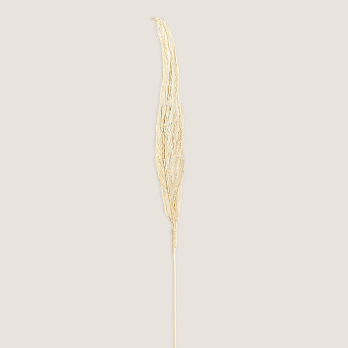 Dakota Branch Dried Flower White