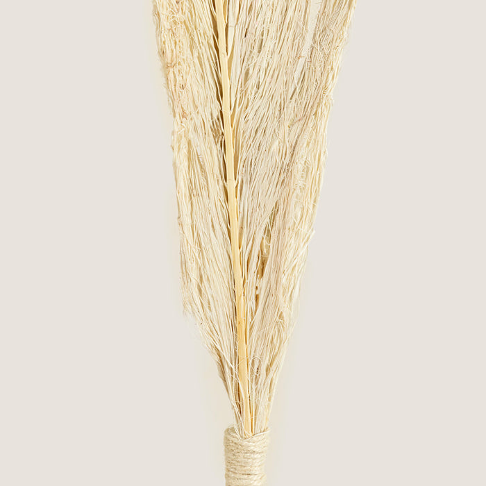 Dakota Branch Dried Flower White