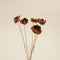 Estelle Bunch Dried Flower Natural