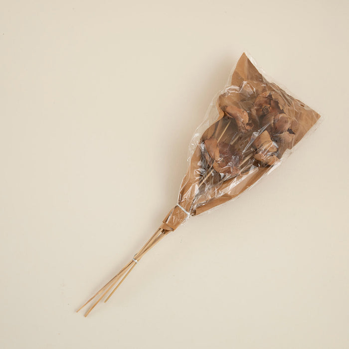 Estelle Bunch Dried Flower Natural