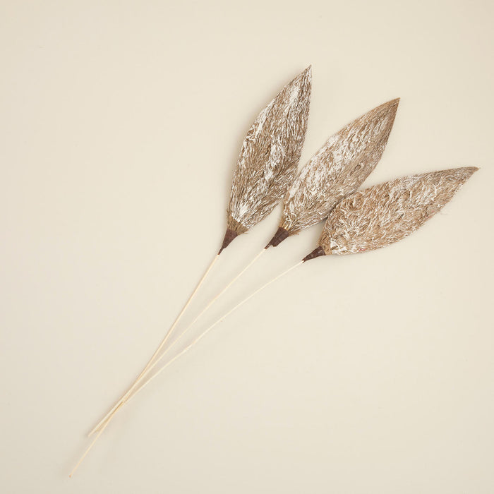 Kaylee Branch Dried Flower Natural