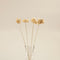 Layana  Bunch Dried Flower Natural