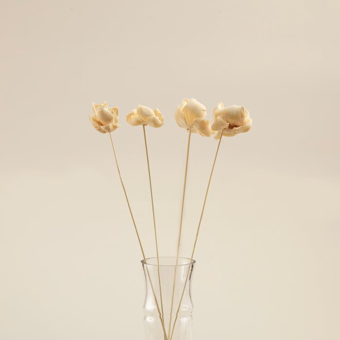 Layana  Bunch Dried Flower Natural