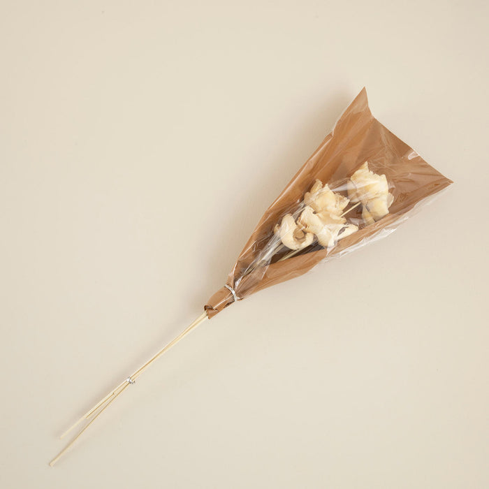Layana  Bunch Dried Flower Natural