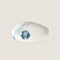 Seaside Fish Appetizer Plate 15 Cm Blue/White