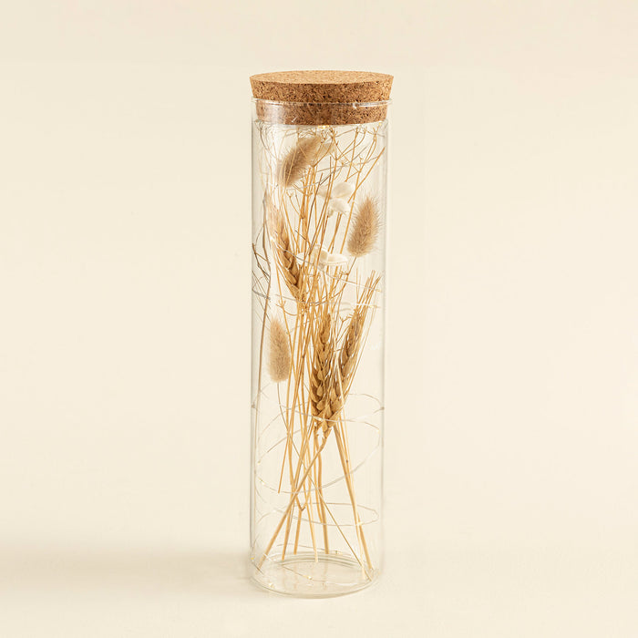 Dried Flower Jar Decor With Led  Touch Natural