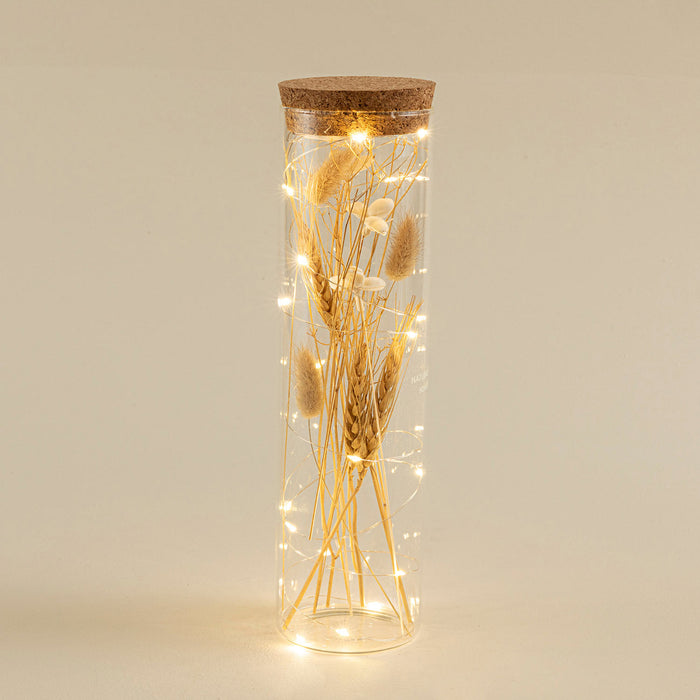 Dried Flower Jar Decor With Led  Touch Natural