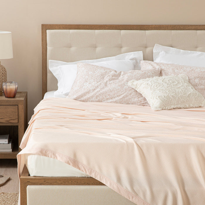 Lillia Pique SNG Powder