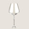 Semi Bracte Red Wine Glass Transparent