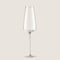 Semi Bracte Champagne Glass Transparent